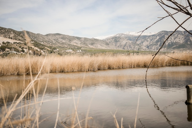 Humedales con vegetación de pantano en ruta Mammoth en Padul, Granada, Andalucía, España