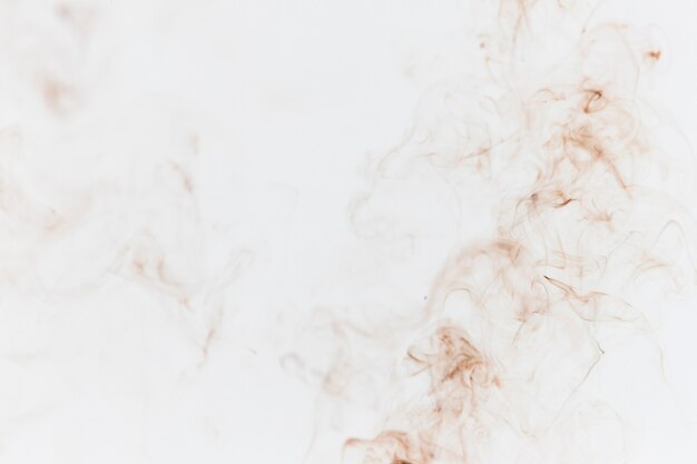 Humo bronceado sobre un fondo blanco