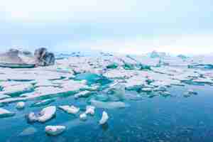 Foto gratuita icebergs en la laguna de los glaciares, islandia.