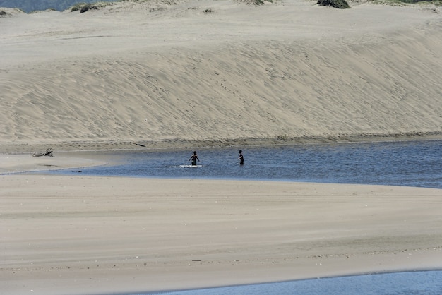 Foto gratuita idílica playa de arena con gente nadando en el agua