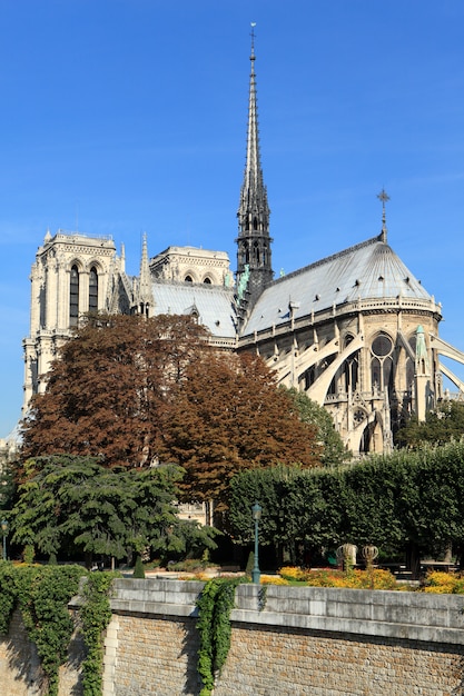 La iglesia de notre dame de parís