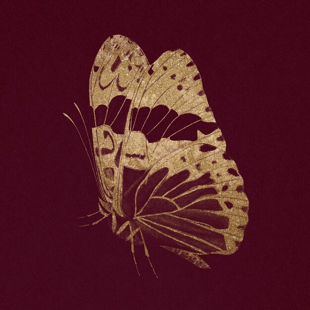 Ilustración animal vintage mariposa dorada brillante