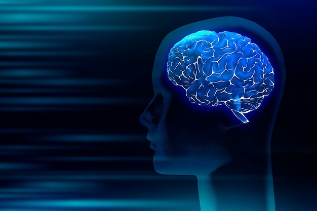Ilustración digital médica del cerebro humano