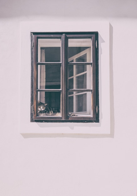 Foto gratuita ilustración de ventana en blanco y negro