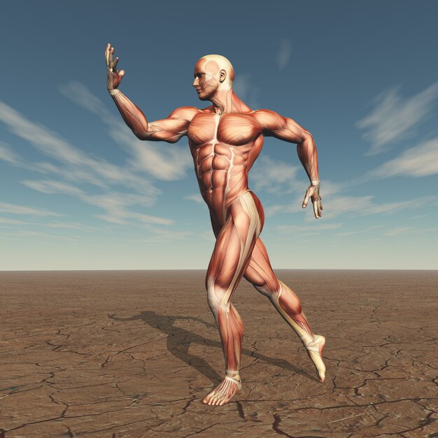 Imagen 3D de un constructor de cuerpo masculino con mapa muscular en un paisaje árido