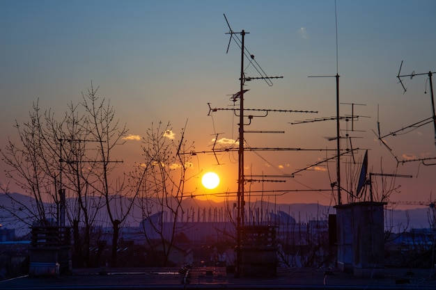 Imagen de árboles y siluetas de antena de televisión en el techo durante la puesta de sol en Zagreb en Croacia