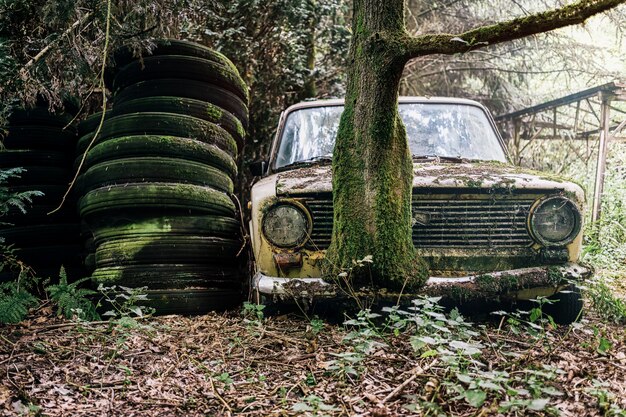 Imagen de un automóvil abandonado y abandonado en un bosque