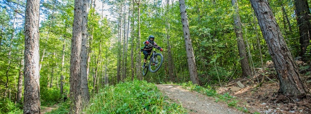 Imagen de un ciclista rodeado de árboles de follaje en el bosque