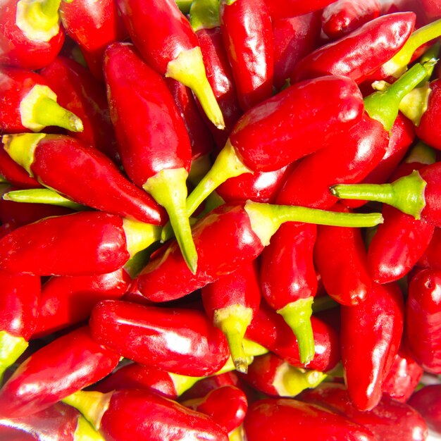 Imagen completa de chiles rojos