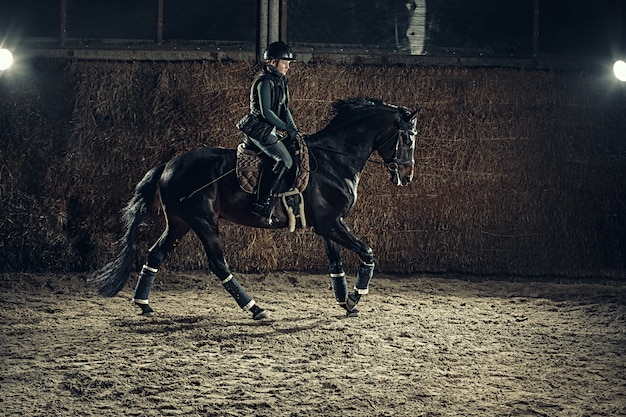 Foto gratuita imagen de feliz mujer sentada en caballo de raza pura