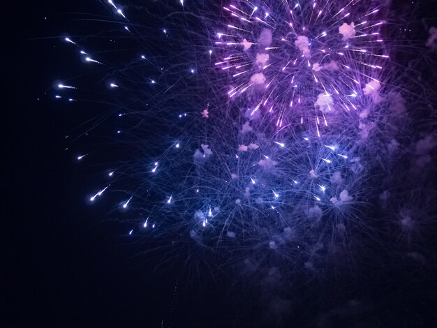 Imagen de fuegos artificiales azules y morados durante la noche.