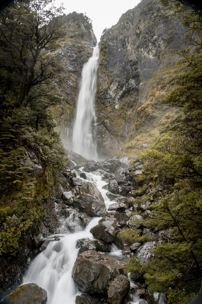 Imagen vertical de Devils Punchbowl Waterfall rodeado de vegetación en Nueva Zelanda