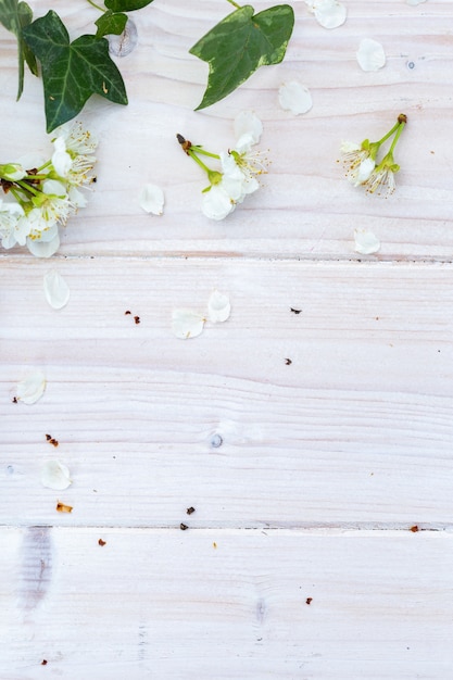 Imagen vertical de flores blancas de primavera y hojas sobre una mesa de madera, endecha plana