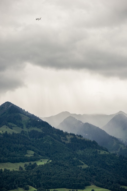 Imagen vertical de montañas rocosas cubiertas de bosques y niebla bajo el cielo nublado