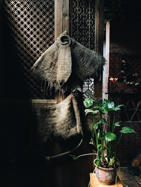 Imagen vertical de una planta de interior sobre la mesa cerca de una antigua puerta de madera bajo las luces