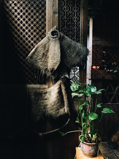 Imagen vertical de una planta de interior sobre la mesa cerca de una antigua puerta de madera bajo las luces