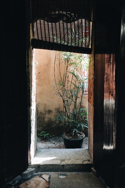 Imagen vertical de una puerta de un edificio antiguo bajo la luz del sol durante el día