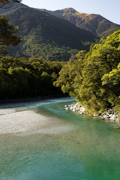 Imagen vertical de un río rodeado de colinas cubiertas de bosques bajo la luz del sol