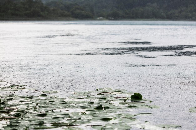 Impacto de las gotas de lluvia en la superficie del agua ondulada