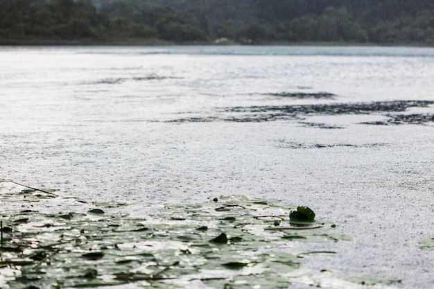 Impacto de las gotas de lluvia en la superficie del agua ondulada