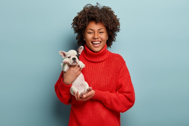 Impresionante adorable niña lleva un pequeño cachorro de bulldog francés, expresa amor por las mascotas, sonríe ampliamente, usa un jersey rojo de gran tamaño, aislado sobre una pared azul. Mujeres, animales y concepto de relación.