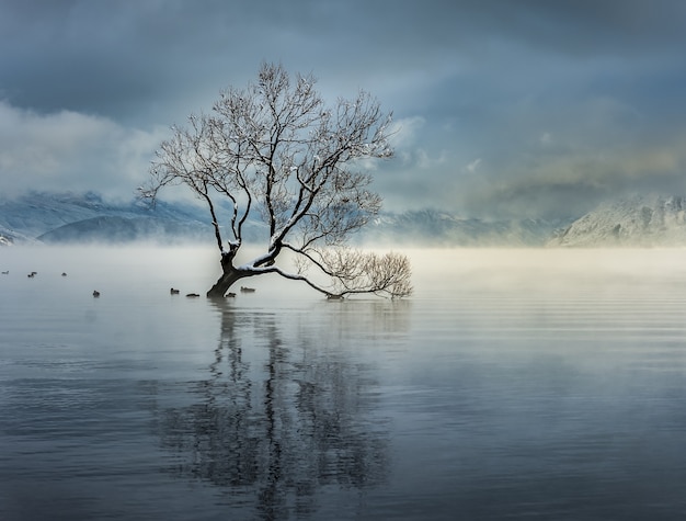 Foto gratuita impresionante foto del lago wanaka en la aldea de wanaka, nueva zelanda