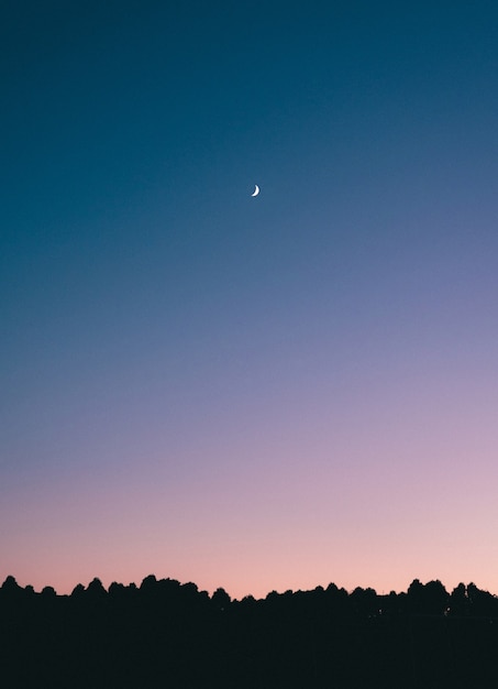 Impresionante foto de una luna creciente en medio de un cielo azul con siluetas de árboles debajo