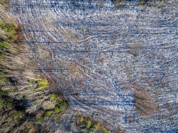 Impresionante fotografía a vista de pájaro del paisaje forestal en invierno