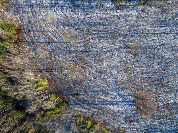 Impresionante fotografía a vista de pájaro del paisaje forestal en invierno