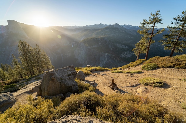 Foto gratuita impresionante paisaje asombroso de un hermoso bosque en el campo