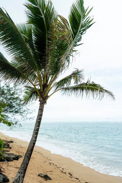 Impresionante paisaje de hawái con la playa