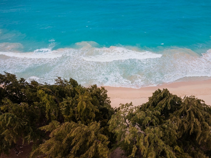 Foto gratuito impresionante paisaje de hawaii con océano