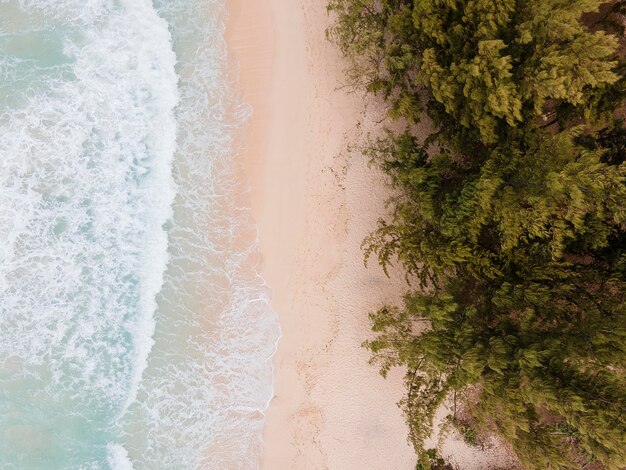 Impresionante paisaje de hawaii con océano