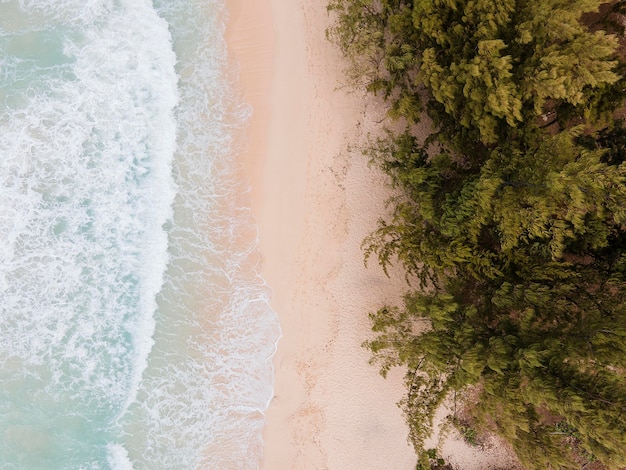 Impresionante paisaje de hawaii con océano