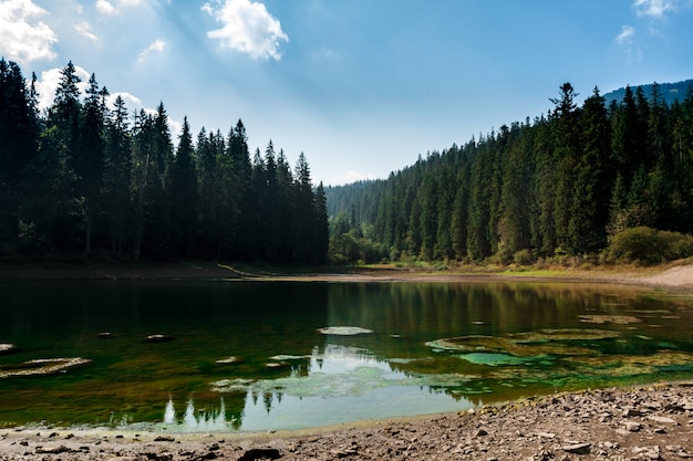 Impresionante paisaje del lago alto en las montañas de los Cárpatos