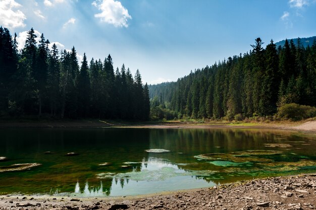 Impresionante paisaje del lago alto en las montañas de los Cárpatos