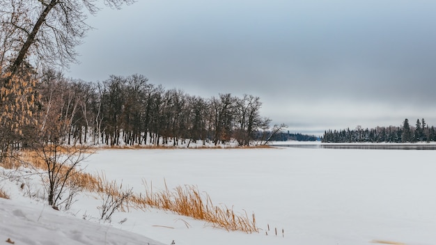 Foto gratuita impresionante paisaje de tierra con una capa de nieve rodeada por una variedad de árboles verdes