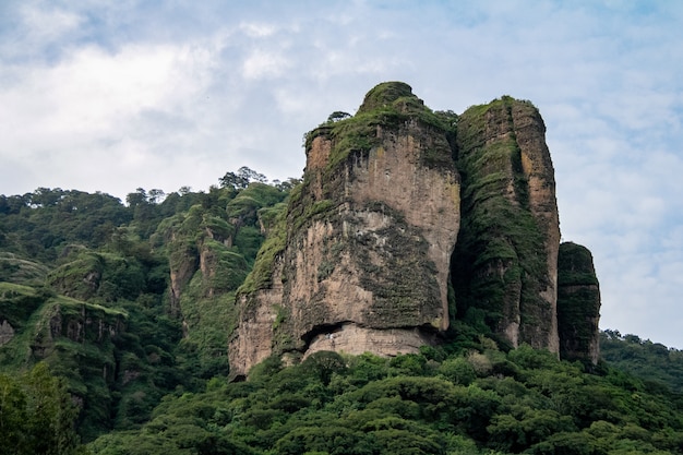 Impresionante roca gigante, parte del bosque, vegetación ganando terreno