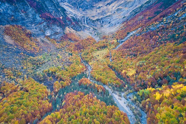 Impresionante toma aérea de un entorno forestal en otoño