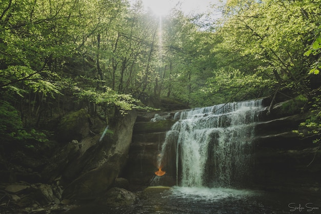 Impresionante toma de una pequeña cascada en un bosque con el sol brillando a través de los árboles