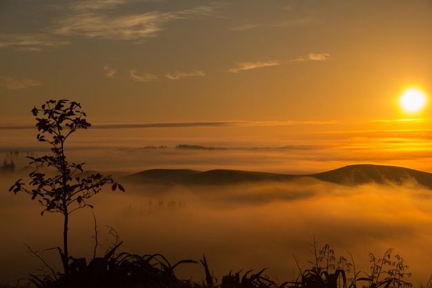 Impresionante vista de los árboles y colinas brumosas capturadas al atardecer en Hawke's Bay, Nueva Zelanda