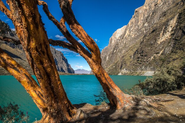 Impresionante vista de los árboles junto al lago en el Parque Nacional Huascarán capturado en Huallin, Perú