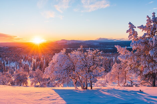 Impresionante vista de un bosque cubierto de nieve durante la puesta de sol en Noruega