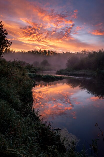 Impresionante vista de un bosque y un río que brilla bajo la puesta de sol atravesando el cielo nublado