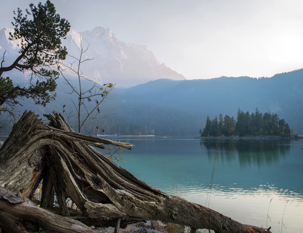 Foto gratuita impresionante vista del lago zugspitze rodeado de bosques en eibsee