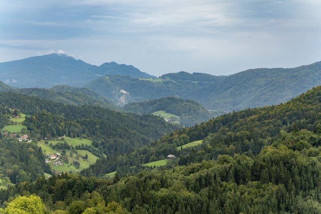 Impresionante vista de las montañas cubiertas de árboles bajo el hermoso cielo azul