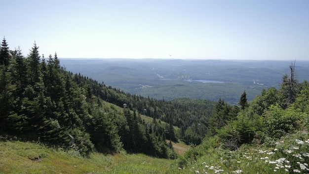 Impresionante vista de las montañas cubiertas de árboles en el Parque Nacional de Mont Tremblant en Lac Lajoie, Canadá