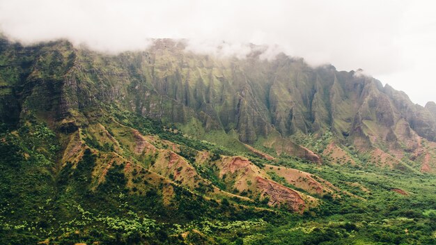 Impresionante vista de las montañas de niebla cubiertas de árboles capturados en Kauai, Hawaii