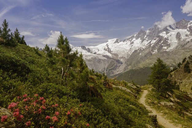 Impresionante vista de un sendero verde con montañas nevadas en Saas-Grund, Suiza