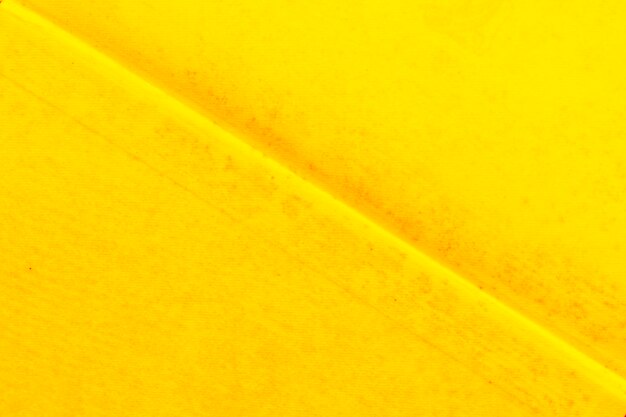 Inclinada detalle de línea doblada en papel tapiz texturado amarillo